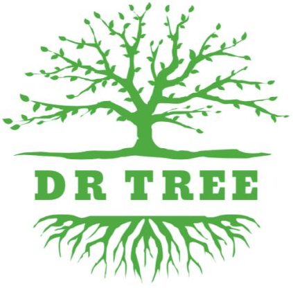 Logo Wycinka, pielęgnacja drzew Kraków | Dr-tree